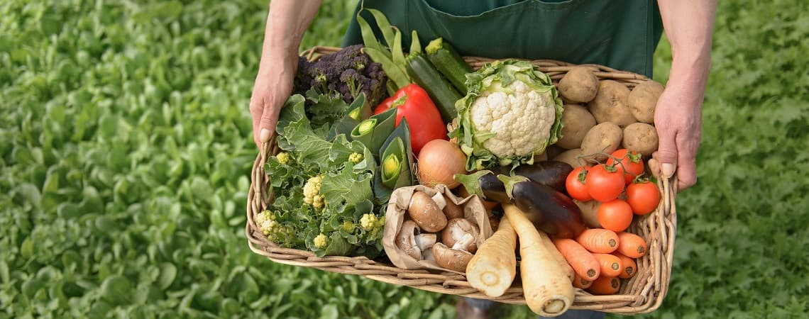 Buy Organic Food Online